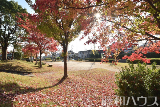 午新田公園