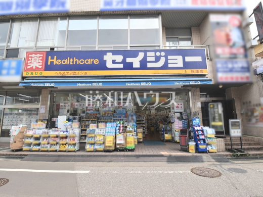 ヘルスケアセイジョー秋津店