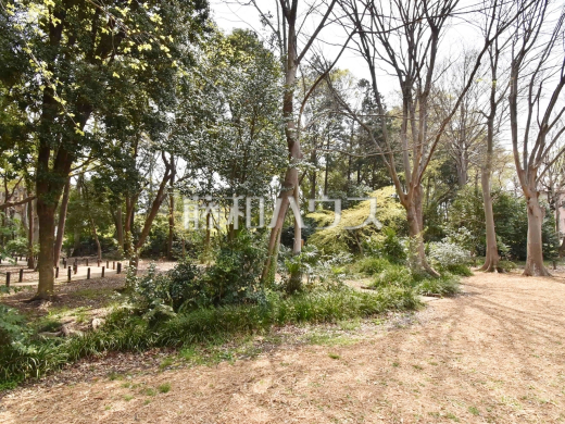 練馬区立清水山の森