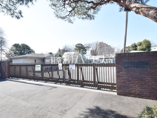 東京都薬用植物園