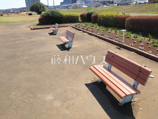 一ノ宮公園内風景