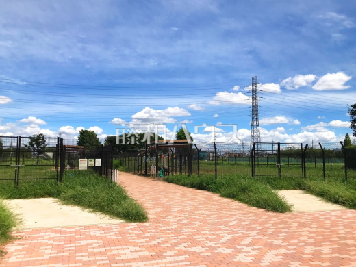 ドッグラン 神代植物公園