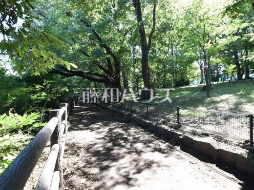 玉川上水緑道（三鷹市井の頭）