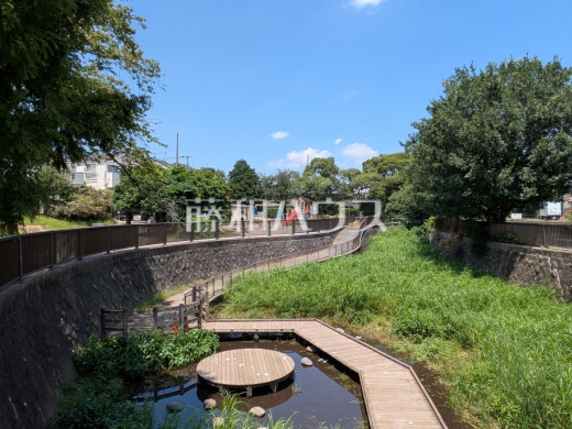 練馬区立大泉井頭公園
