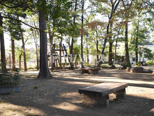 杉並区立清水森公園