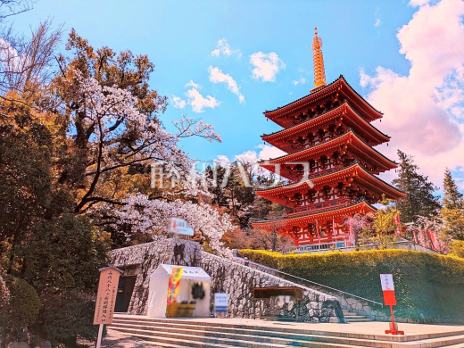 高幡山明王院金剛寺(高幡不動尊)