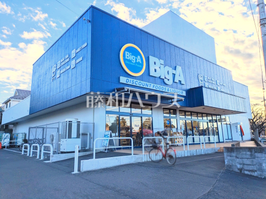 ビッグ・エー 日野南平店