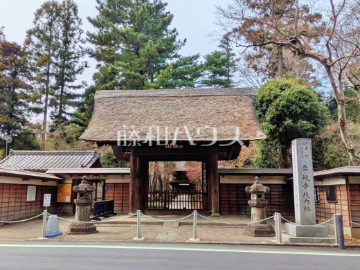 天然記念物 平林寺境内林