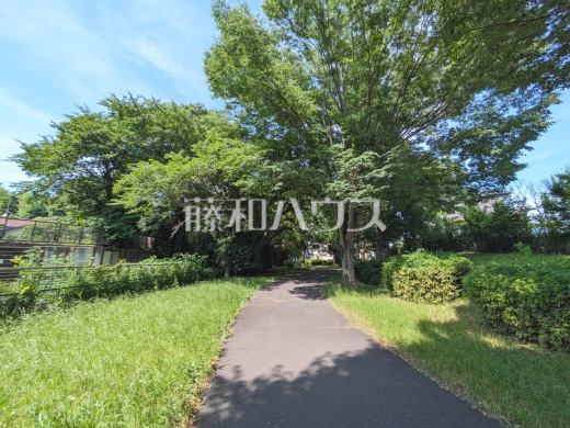 谷地川緑道