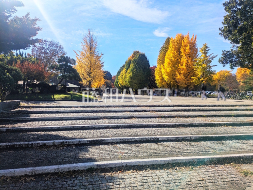 赤塚公園