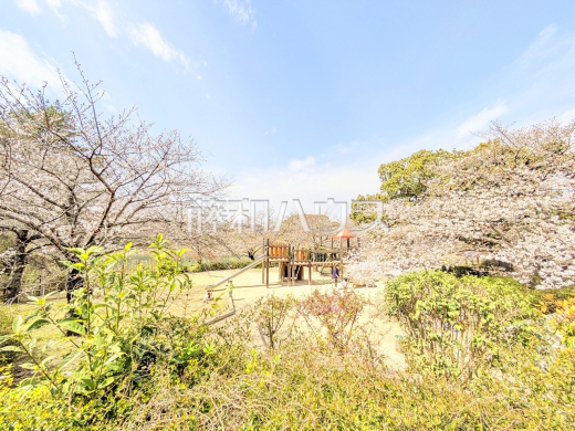桜丘中央公園