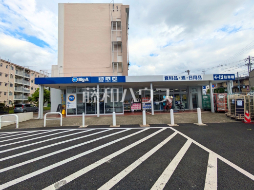ビッグ・エー日野平山団地店