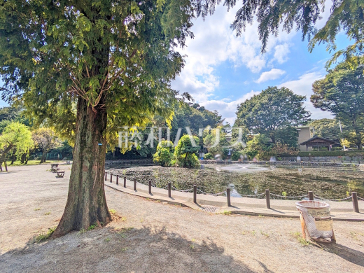 赤塚溜池公園