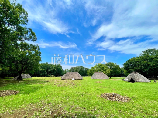 水子貝塚公園
