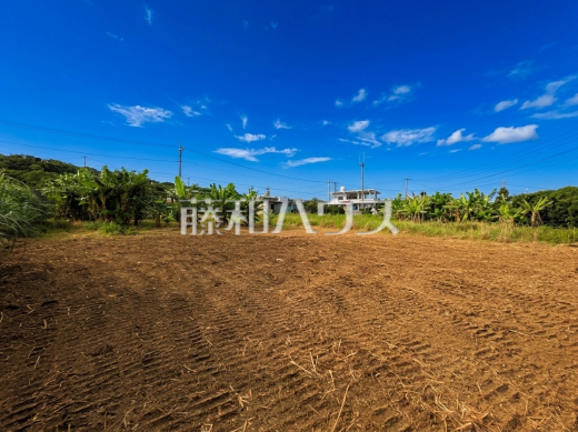 現場風景　【八重瀬町字安里】