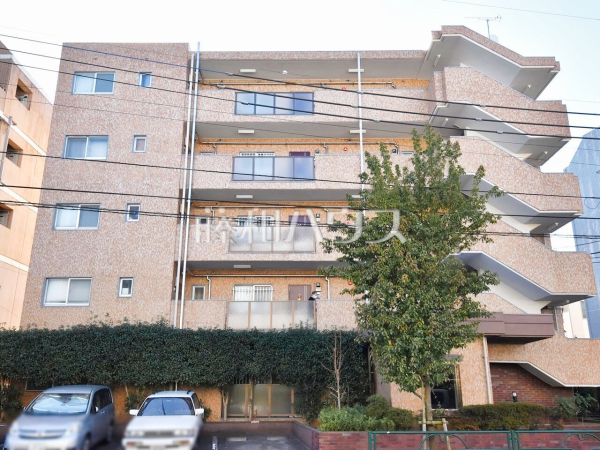 4階部分、南西角部屋につき、日当たり・通風・眺望良好です。【西武柳沢ローヤルコーポ】