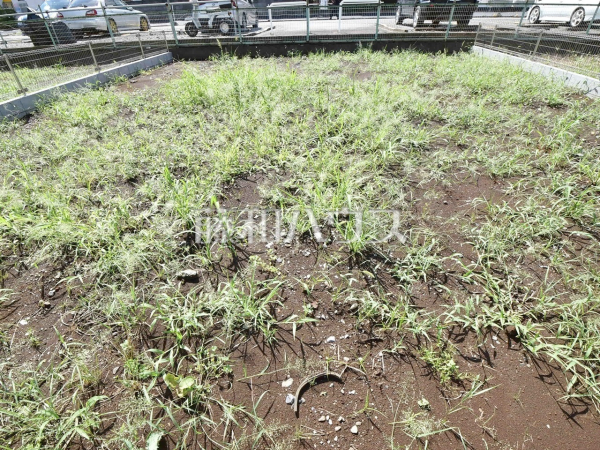 5号地　現地写真　【小平市小川町１丁目】 平日のご案内も可能です。まずはお気軽にお問合せ下さいませ。 