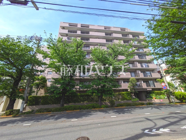 外観　【ナイスアーバン久米川】一戸建ての多いエリアのため、静かで落ち着いた雰囲気の街並みです。