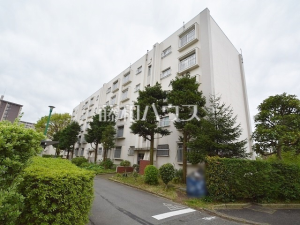 外観　【多摩川住宅　ハ16号棟】