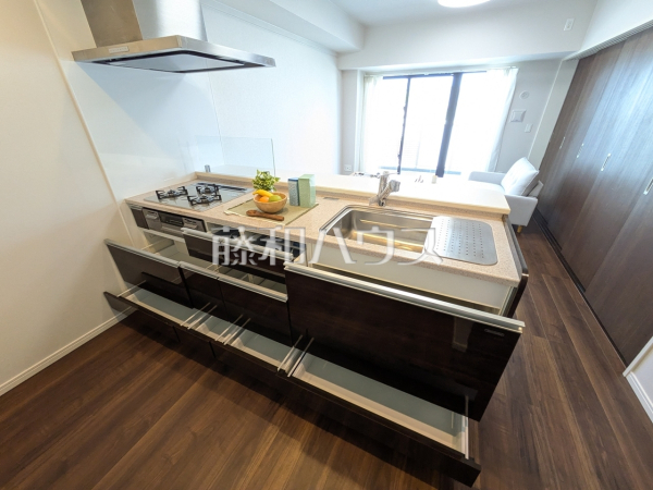 キッチン　【グランデ・プレミアムビスタ野嵩EAST】