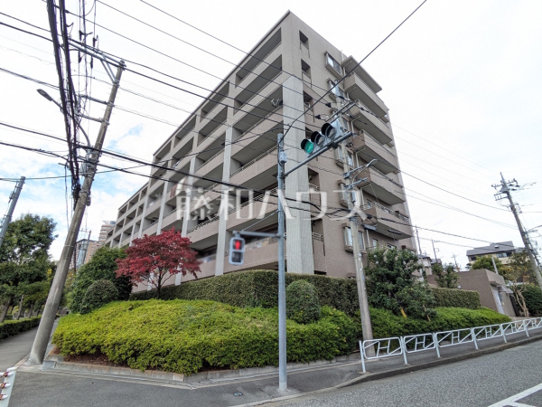 外観　【エフヴェール・ヒルズ　ソルコート】