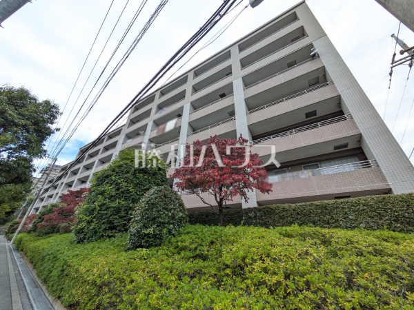 外観　【エフヴェール・ヒルズ　ソルコート】