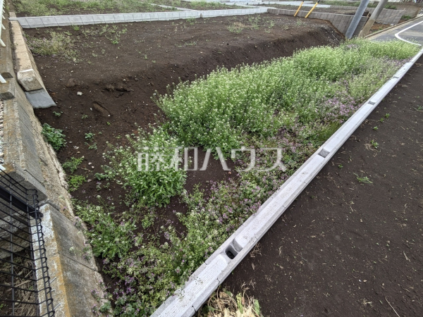 A号地　現地写真　【小平市小川西町１丁目】