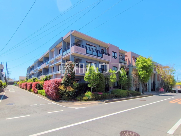 外観　【ザ・ステイツ志木幸町】