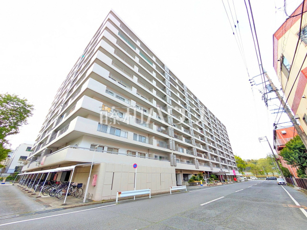 接道状況および現場風景　【めじろ台ハイム】