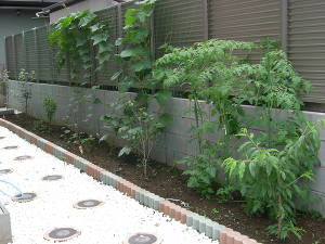 東村山市　Ｗ様