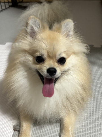 T様邸
