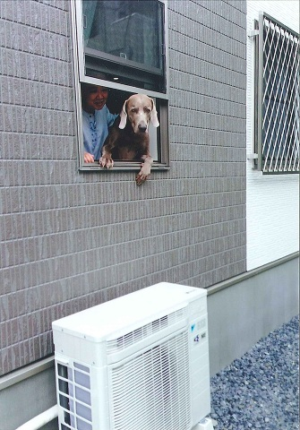 お客様の声　Y.M様