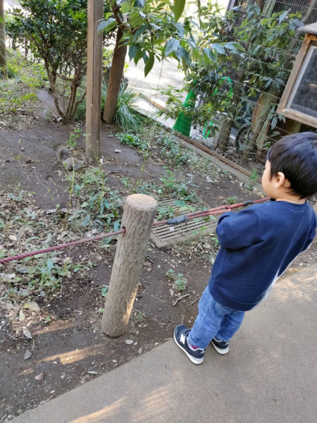 初めて見たリスに一生懸命優しくしていた息子がとても可愛くて…思わずリスそっちのけで写真を撮ってしまいました。