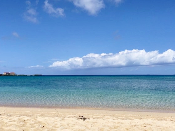 地元の海で突いた魚を捌いて食べます。夜中の干潮時、魚たちが寝ている所を狙います。主に捕れる魚はナンヨウブダイなどのブダイ系、ハマフエフキダイなどのフエフキ系、シャコ貝やホラ貝などの貝系なども捕れます！