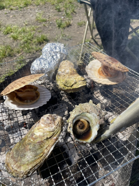 BBQが好きなので年に２～３回ほど行っています。