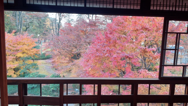 小金井公園、江戸東京たてもの園より眺めた紅葉
