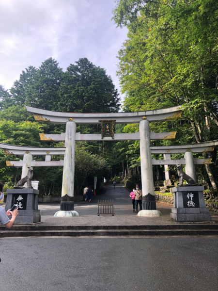 色々な神社に回るのが楽しく、体の運動も合わせて観光しています。
人それぞれ相性の良い悪い神社があるので、そういった事を調べながら神社巡りをするのも、楽しいです。