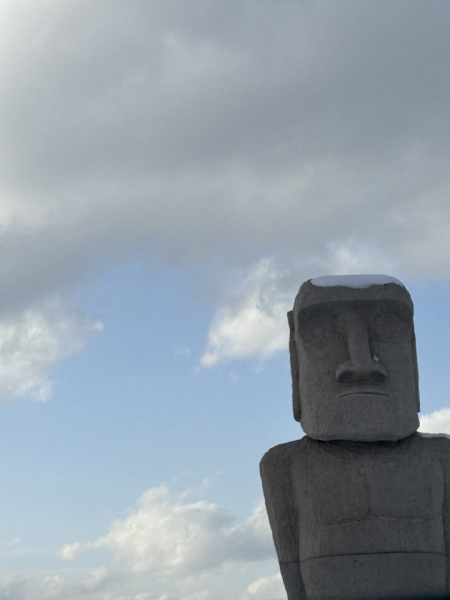 旅行も好きで、１番好きな場所は、北海道でした。