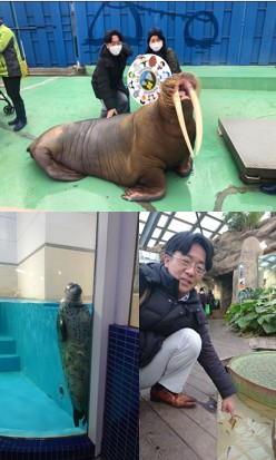 水族館も大好きで、旅行に行くと、その地域の水族館にも行きます。伊勢シーパラダイスでは、トドに触ることができました。どこかの水族館ではドクターフィッシュに指をついばまれました。鴨川シ―ワールドと、いおワールドかごしま水族館が一番好きかもしれません。沖縄の美ら海水族館には行ってみたいです。