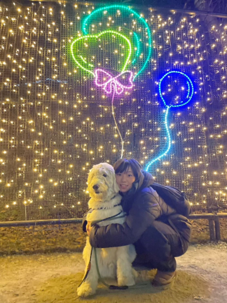 犬とMORIMORIのイルミネーションに行った時の写真です。