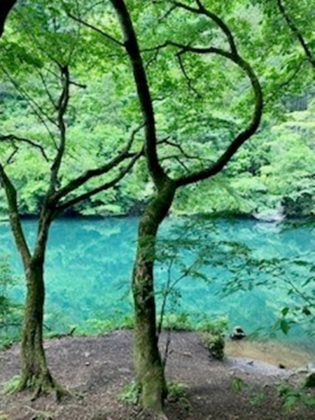 ドライブで奥多摩へ行った際の写真です。ちょっと足を延ばせばこんな幻想的な風景がいまだに有るのが多摩方面の魅力でもあります。