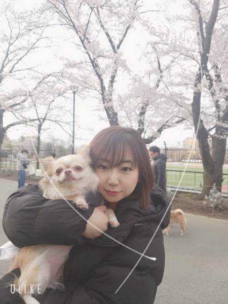 愛犬とお花見に行った時の写真です。モグが笑っている気がしませんか？