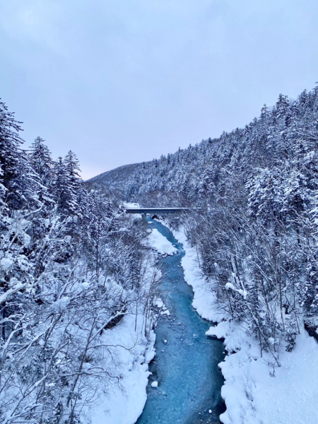 旅行に行き、その土地でしか味わえない味覚や自然に触れるのが好きです。