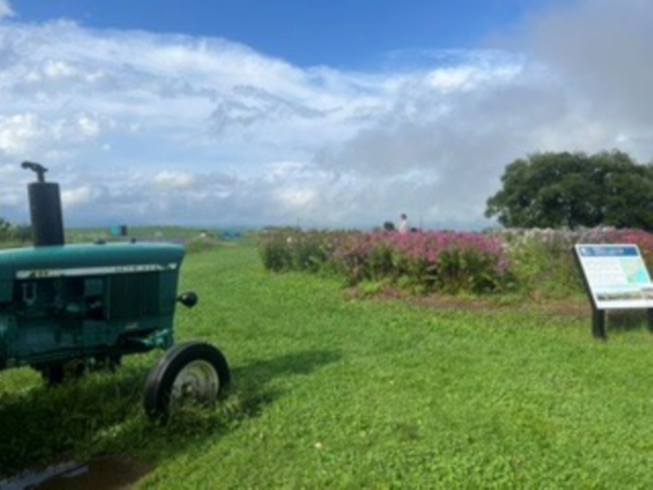 北海道に旅行した時の写真です。空がとても広く感じました。