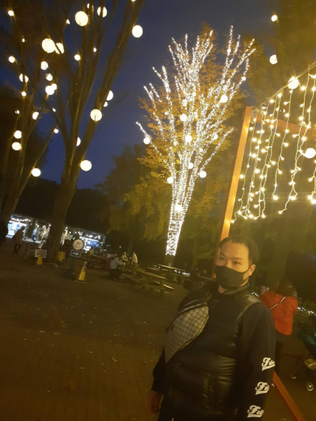 外出することも大好きで季節のイベントにもよく行きます。この写真は埼玉の森林公園のイルミネーションです。可愛い人形や芸術的な灯りがとても癒されます。