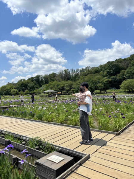 東村山市野口町にある北山公園で開催された『菖蒲まつり』に行ってきました！地元のお祭りは毎年欠かさず足を運んでます。