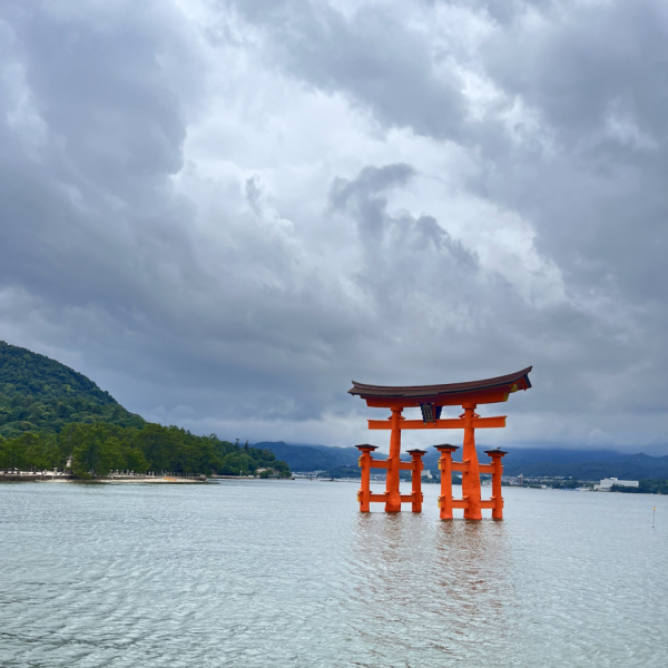 広島旅行で行くならどこと聞かれると絶対にお勧めする場所は、やっぱり宮島です！帰省した際、鳥居の工事が最近やっと終わったようで、以前よりもさらにきれいになっていました！タイミングが良ければ潮が引いていて鳥居の目の前まで行くこともできるので、宮島に行った際は見てみてください！