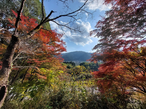 始めて行く場所でもきれいな風景が見れたら写真を撮るようにしています。
こちらは京都の名もない道ですが、とても鮮やかに紅葉と山が撮れました。