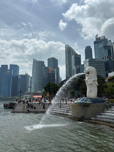 念願だったマーライオンを見ることが出来ました!!!いつかは五つ星ホテルのマリーナベイサンズに泊まることが夢です。