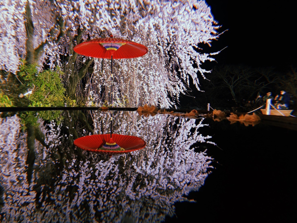 四季を感じるのが好きなため、春には九州の桜の観光名所はほぼ周ります！！